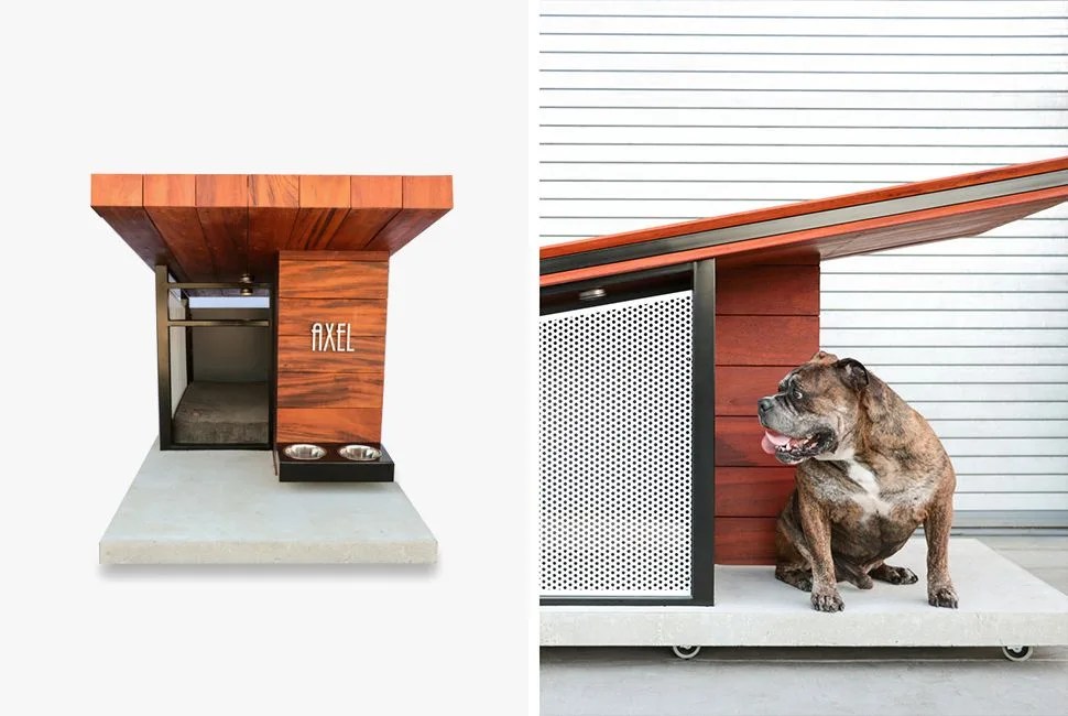 gear-patrol-MDK9-DOG-HAUS2