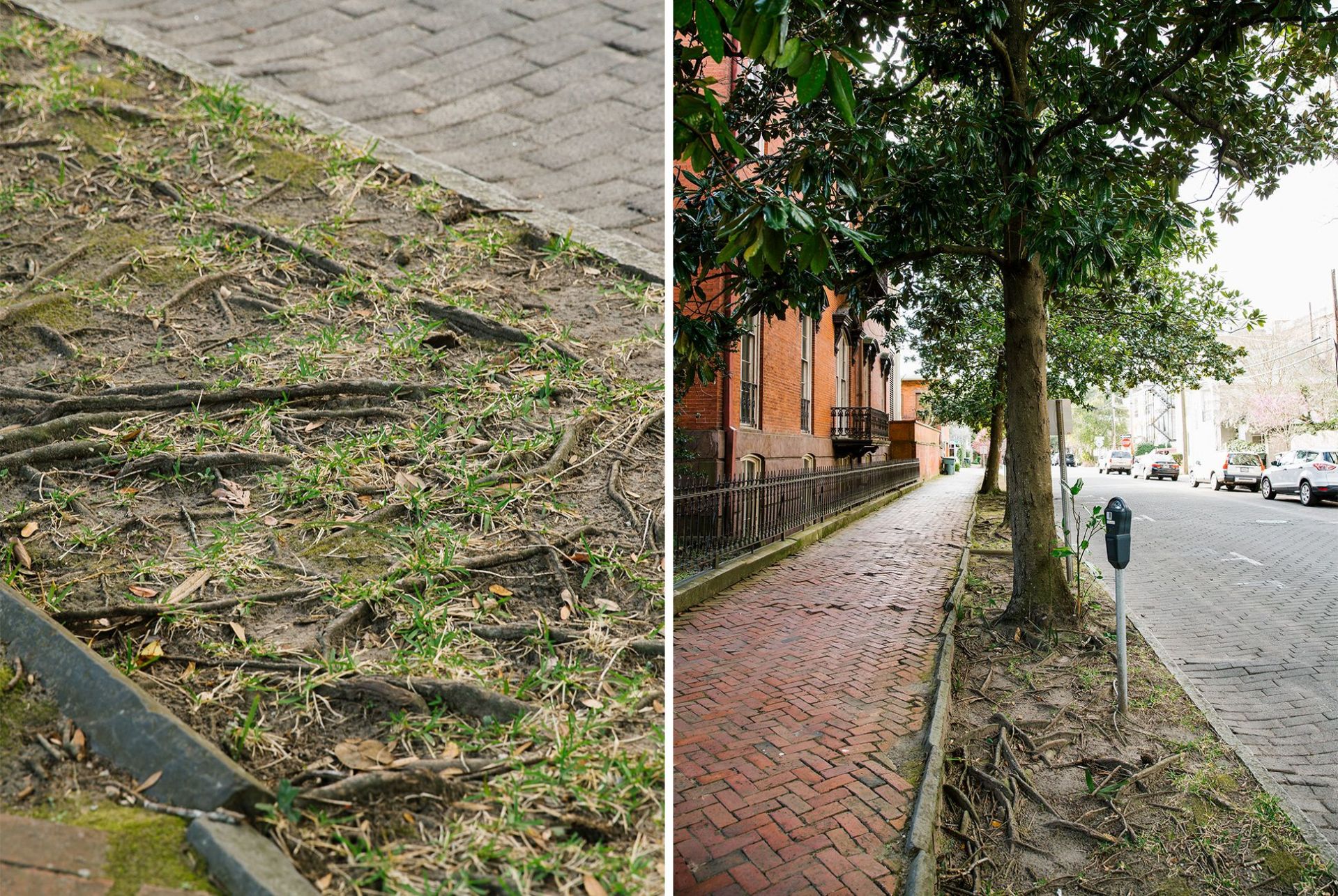 lowcountry-architecture-gear-patrol-widestreet