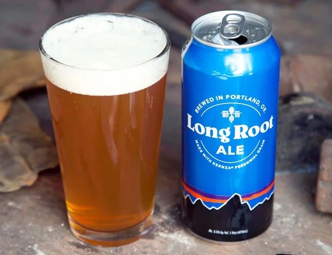 patagonia-beer-gear-patrol-brief-featured