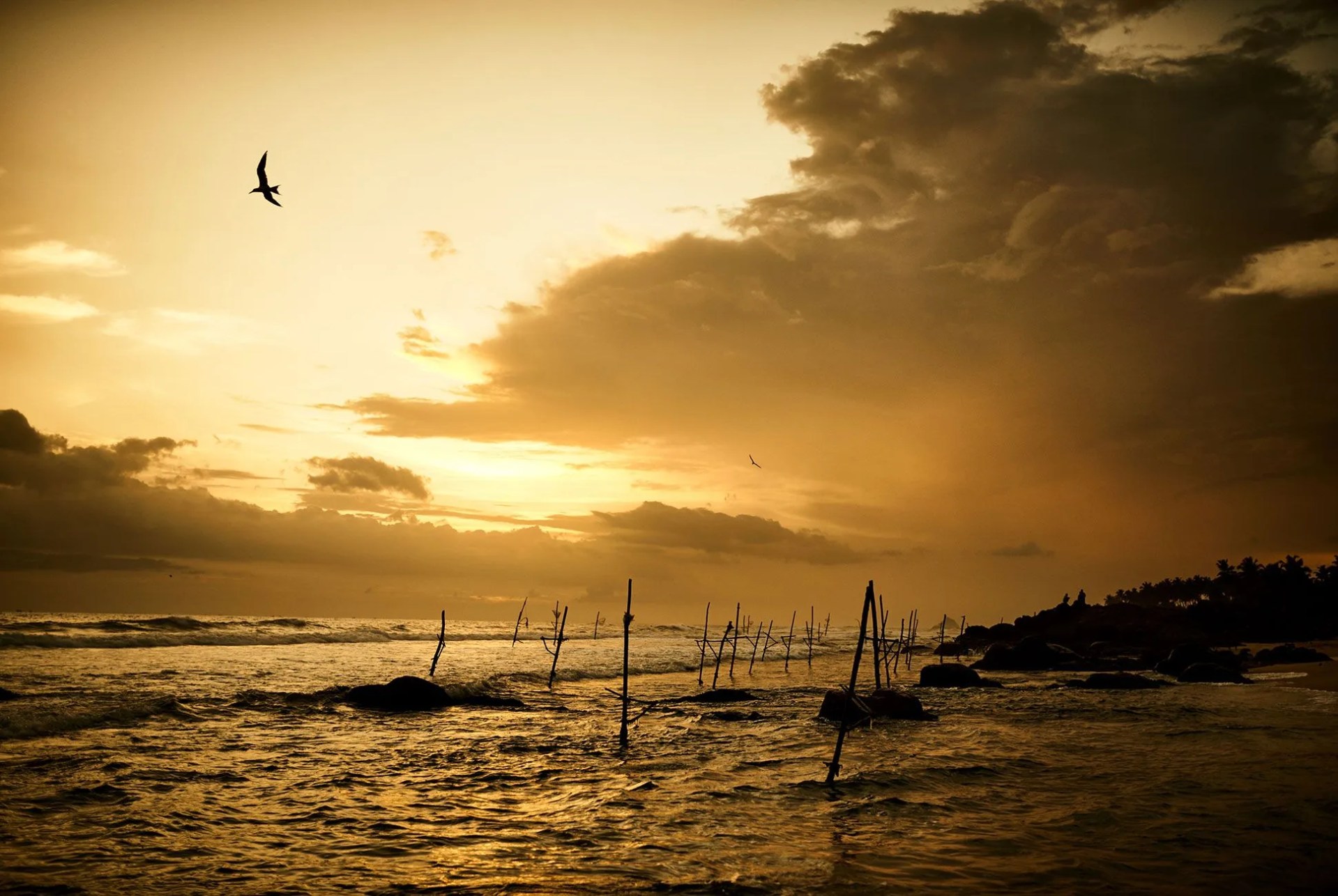 sri-lanka-gear-patrol-delorenzo-10