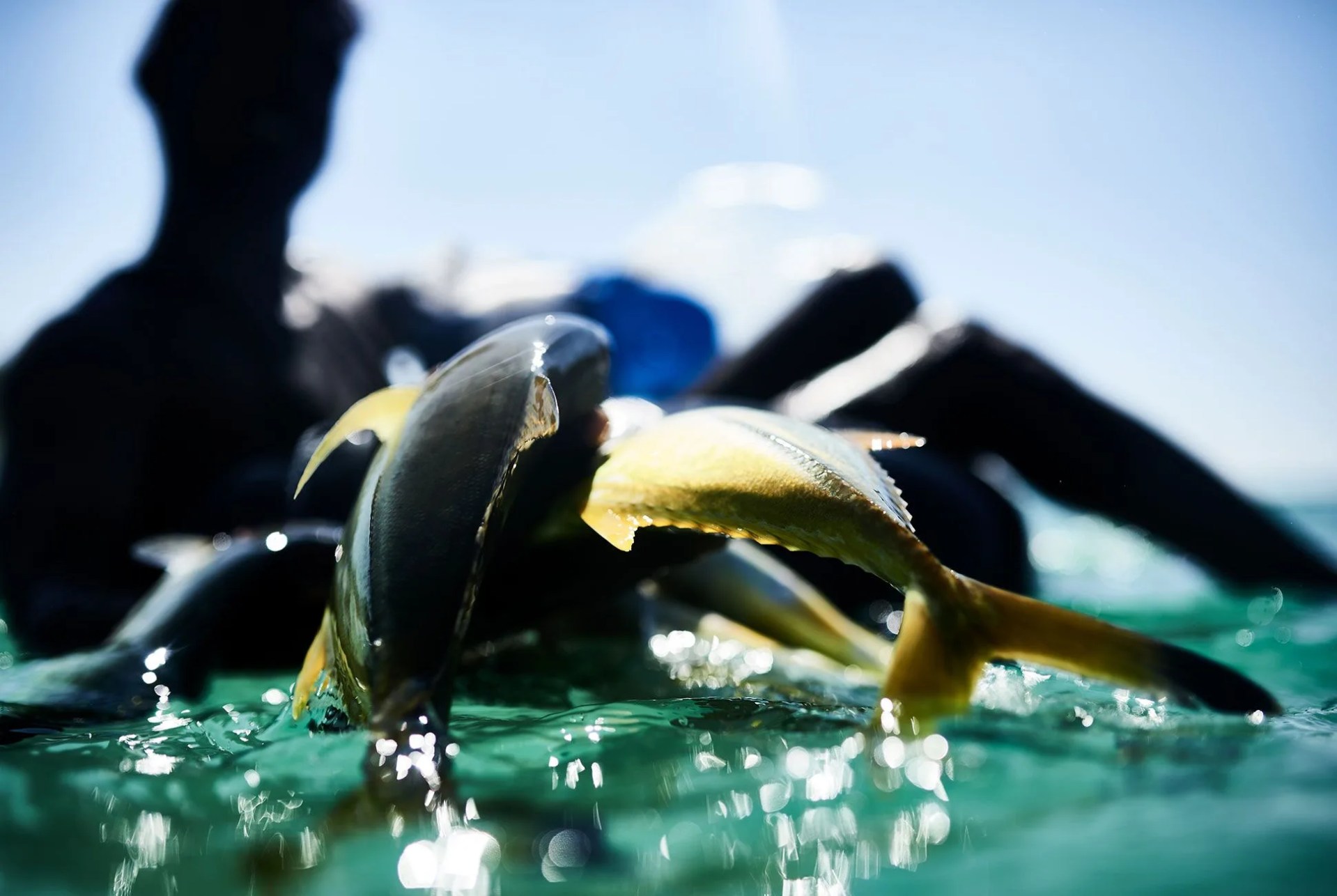 sri-lanka-gear-patrol-delorenzo-4