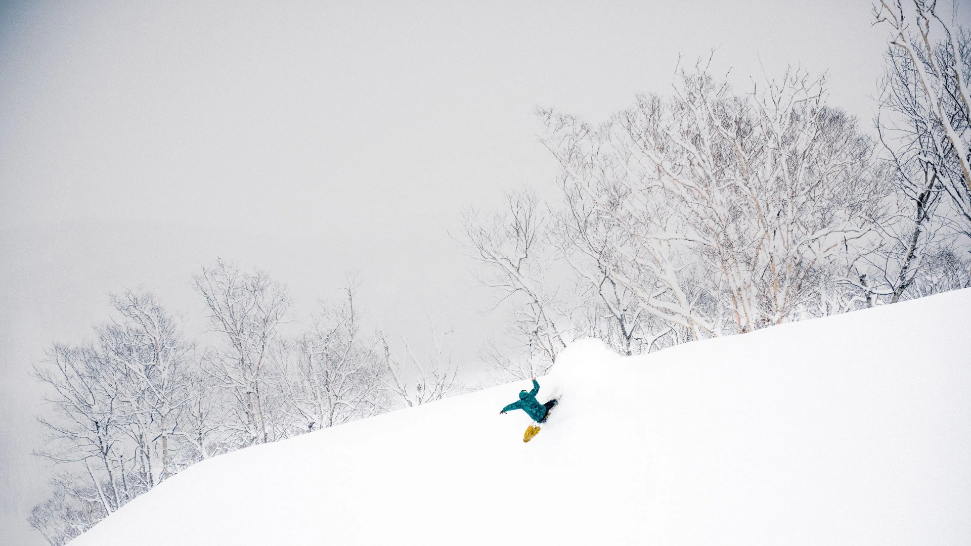 taro-tamai-gear-patrol-ambiance-2