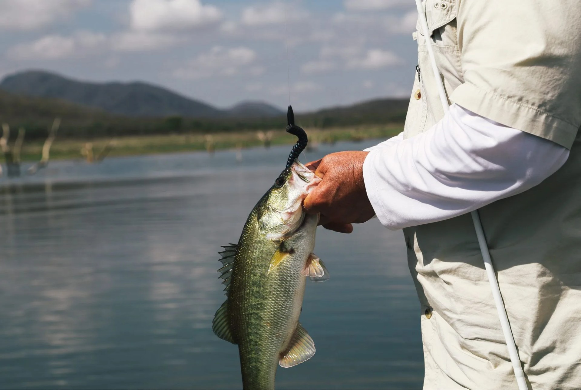 texas-rig-bass-gear-patrol-lead-full