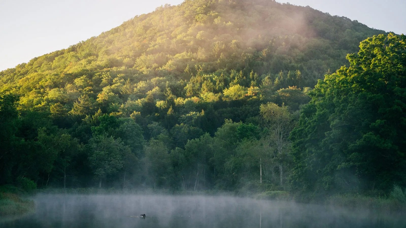 guides-day-off-gear-patorl-lead-cinema