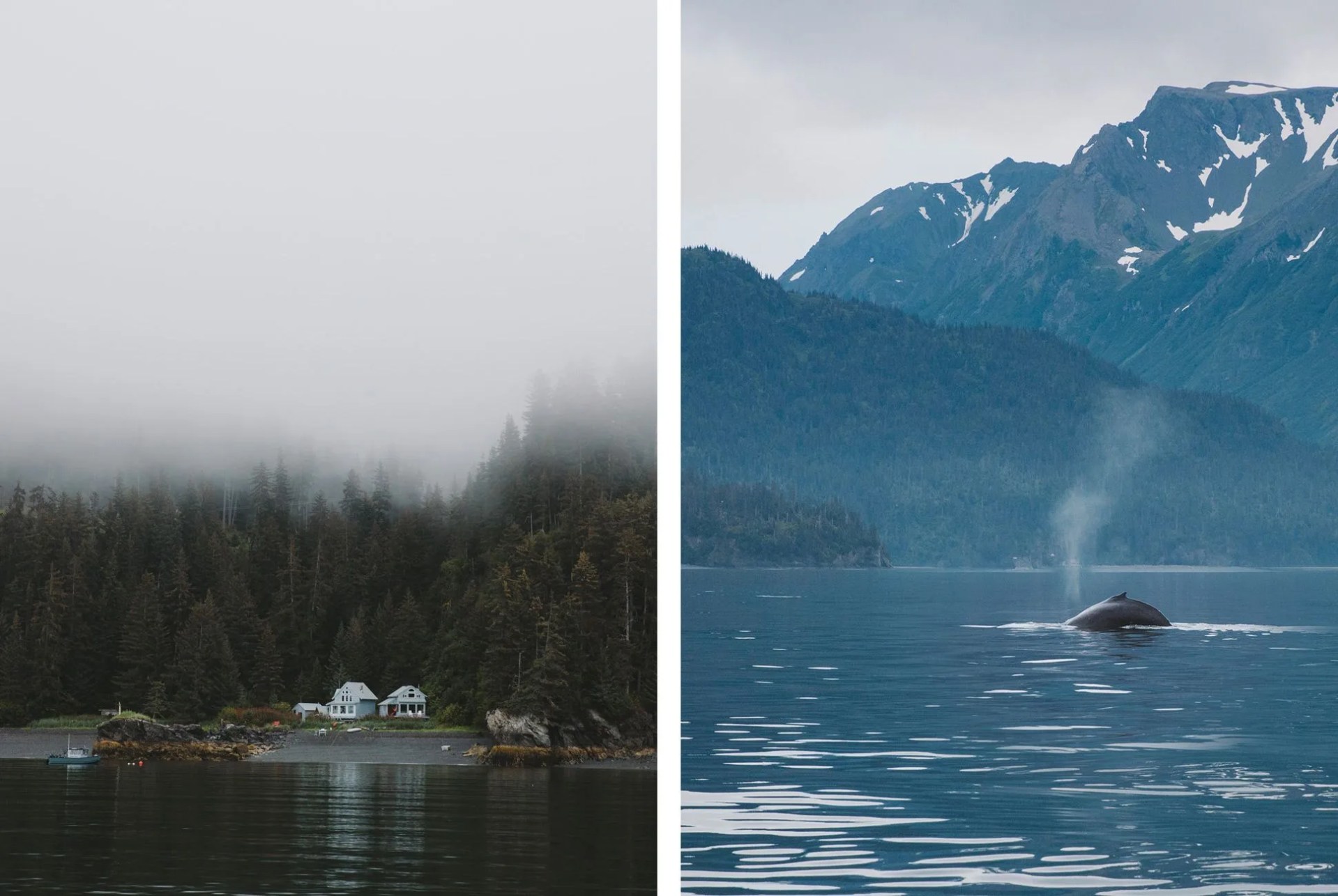 Island-Camp-Gear-Patrol-4