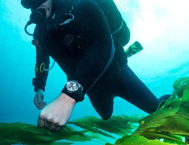 IWC-Aquatimer-Sharks-Gear-Patrol-Lead-Featured