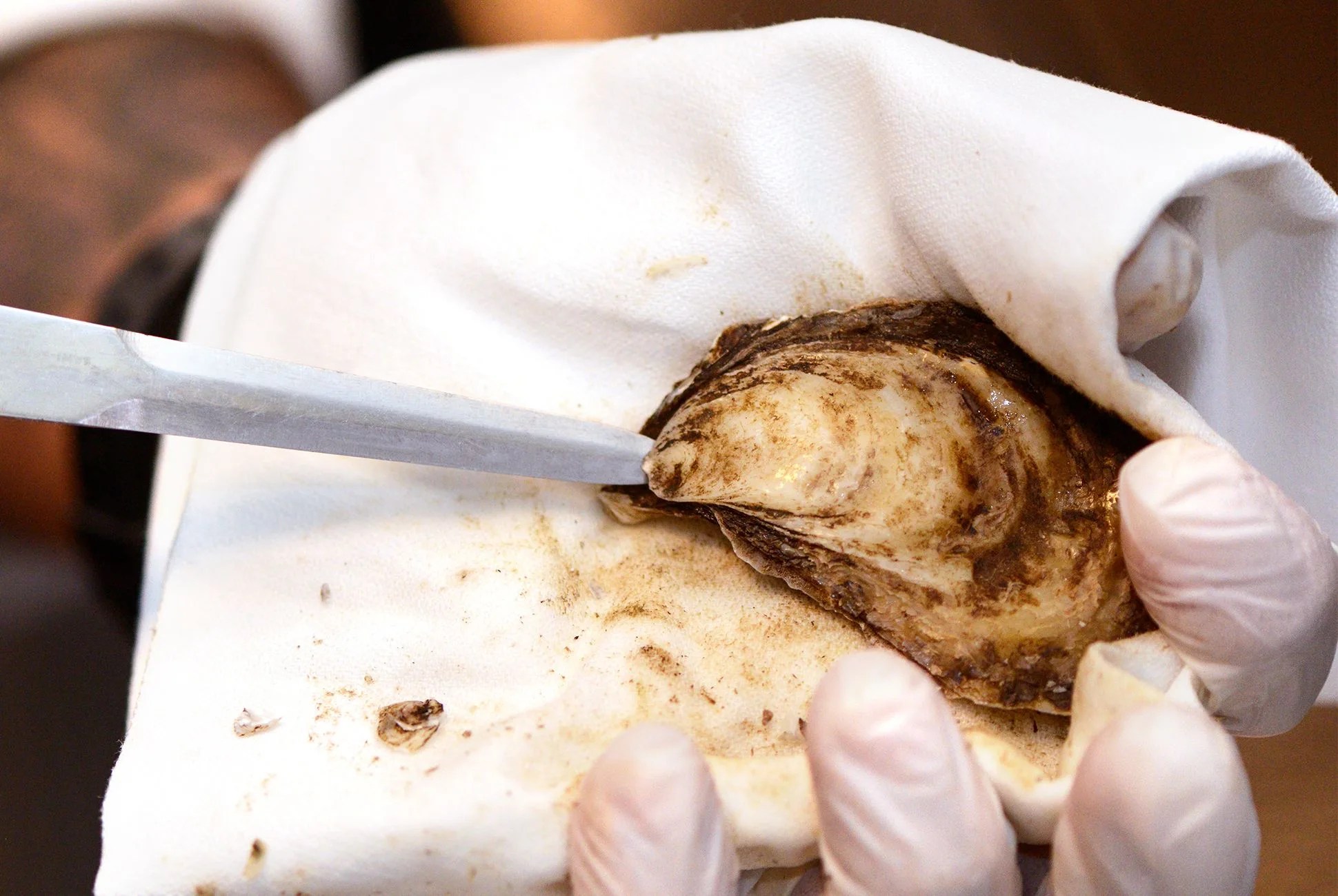 an oyster being shucked