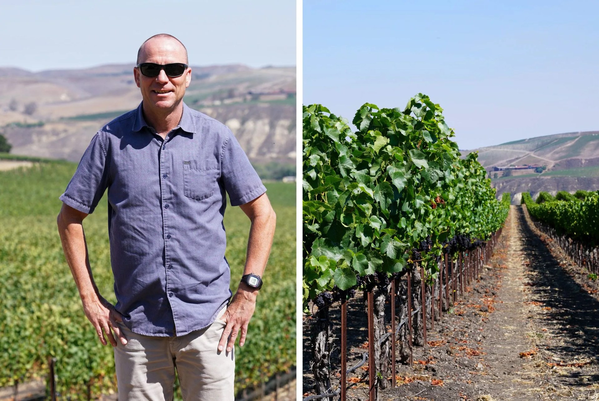 Pinot-Noir-Gear-Patrol-Ambiance-1