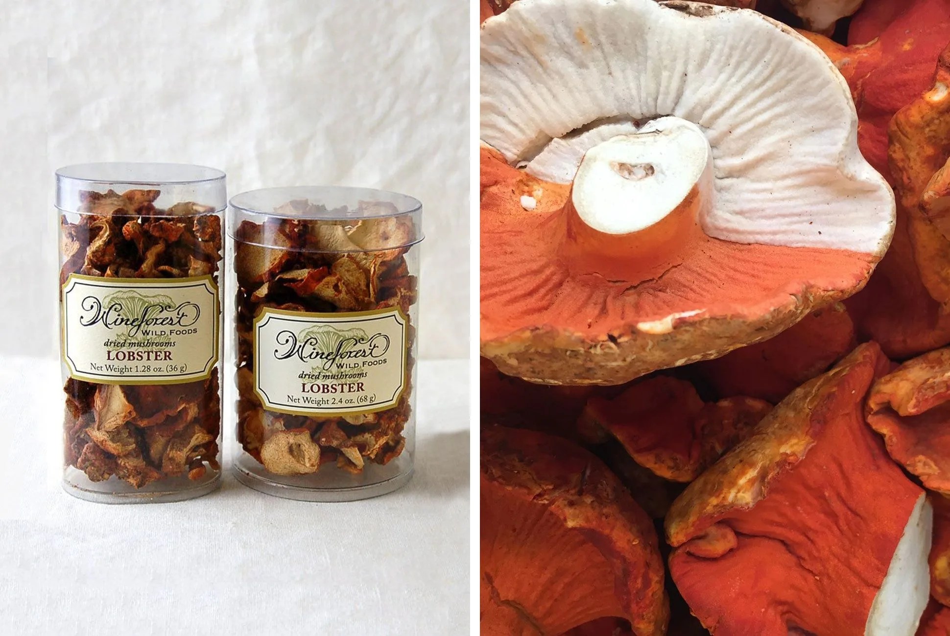 mushrooms-gear-patrol-full-lead