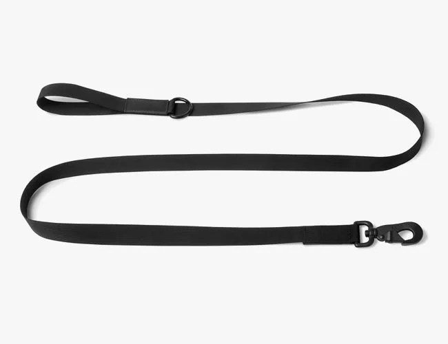 Killspencer-Dog-Leash-Gear-Patrol