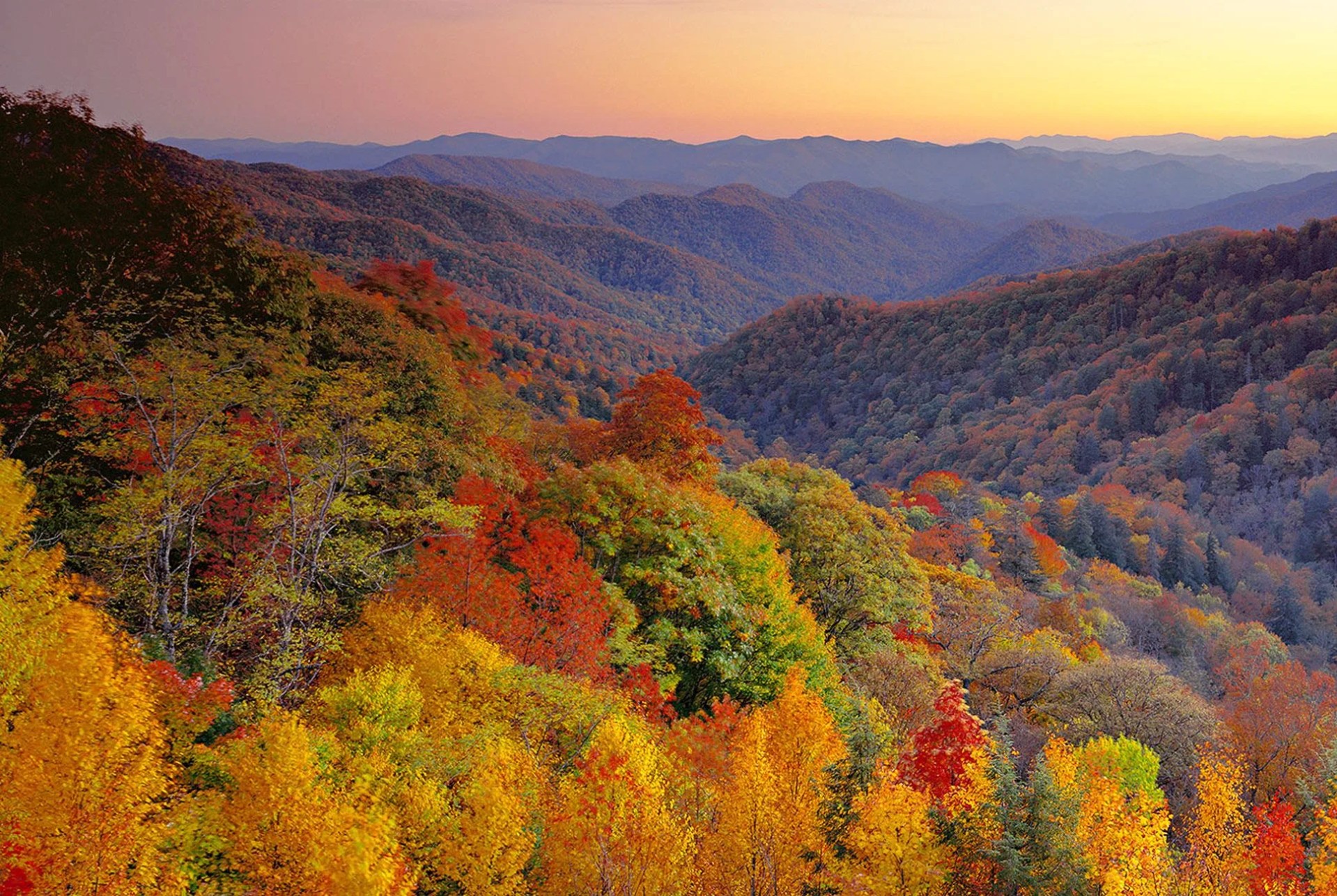 Essential-Coffee-Table-Books-for-the-Aspirant-World-Traveler-gear-patrol-Full-Lead