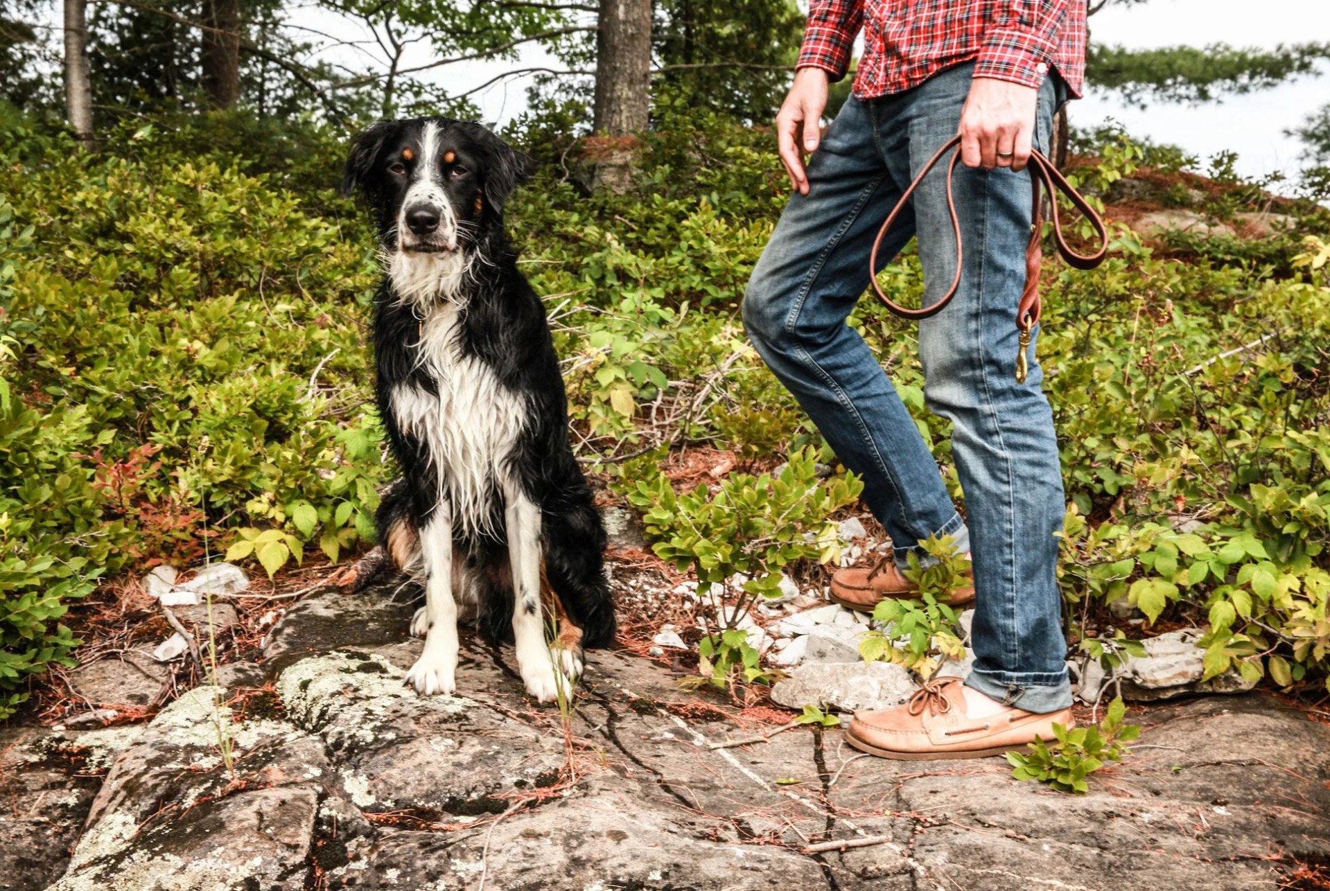 TIg-gear-patrol-royal-north-lease