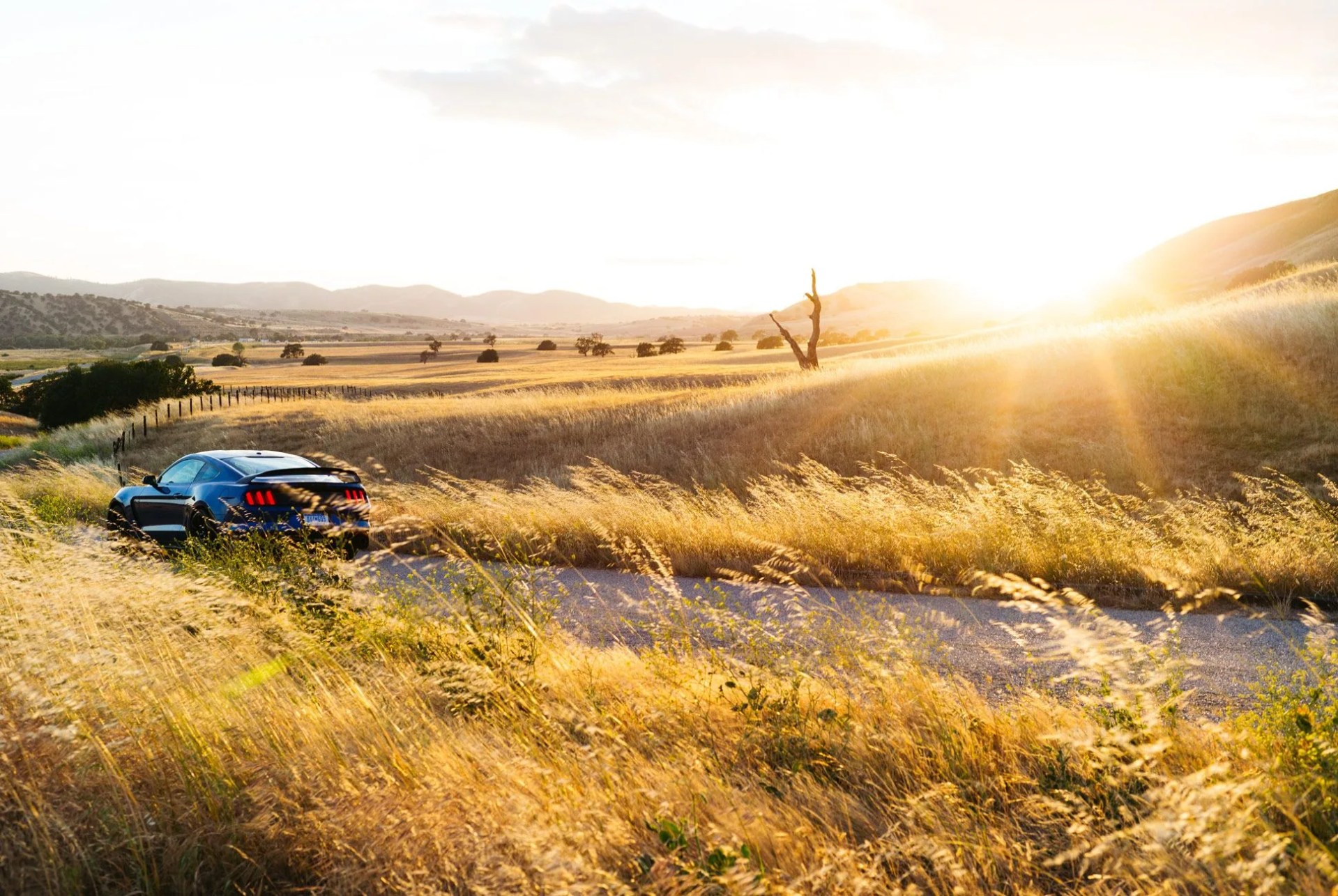 Ford-GT350R-Gear-Patrol-Slide-2