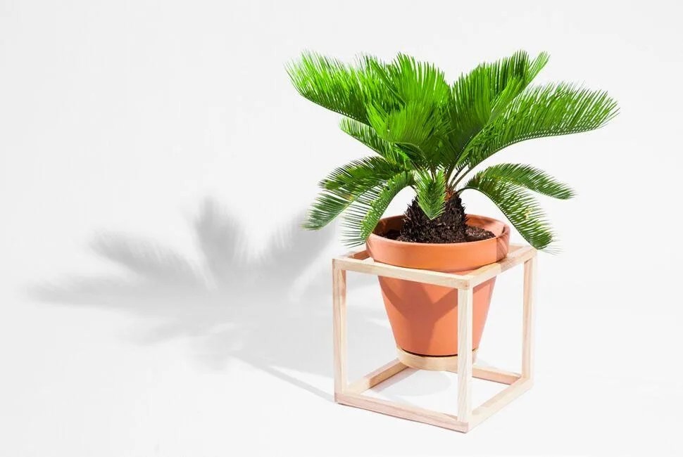 living-space-store-gear-patrol-trey-jones