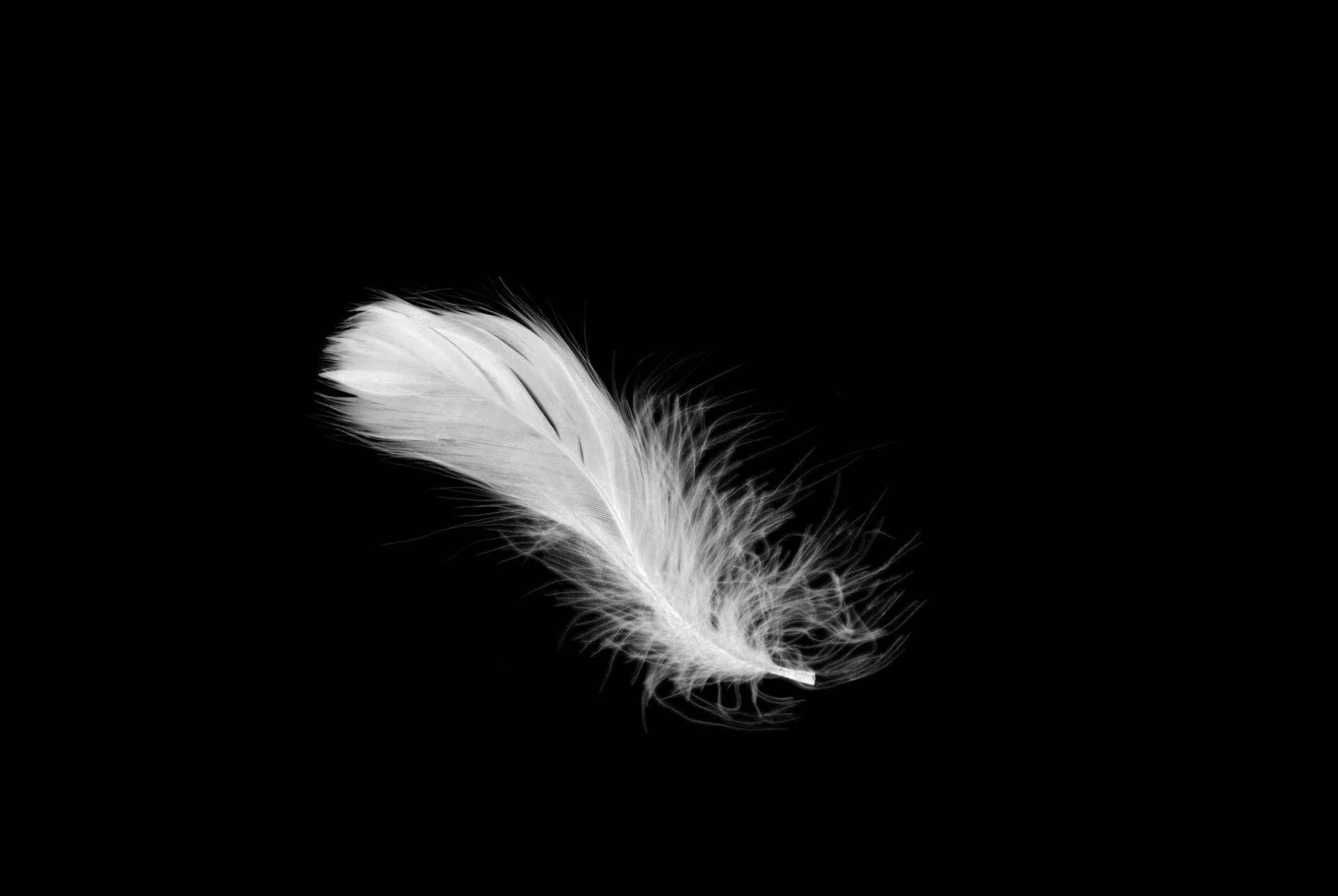 Future-of-Down-Gear-Patrol-Lead-Full