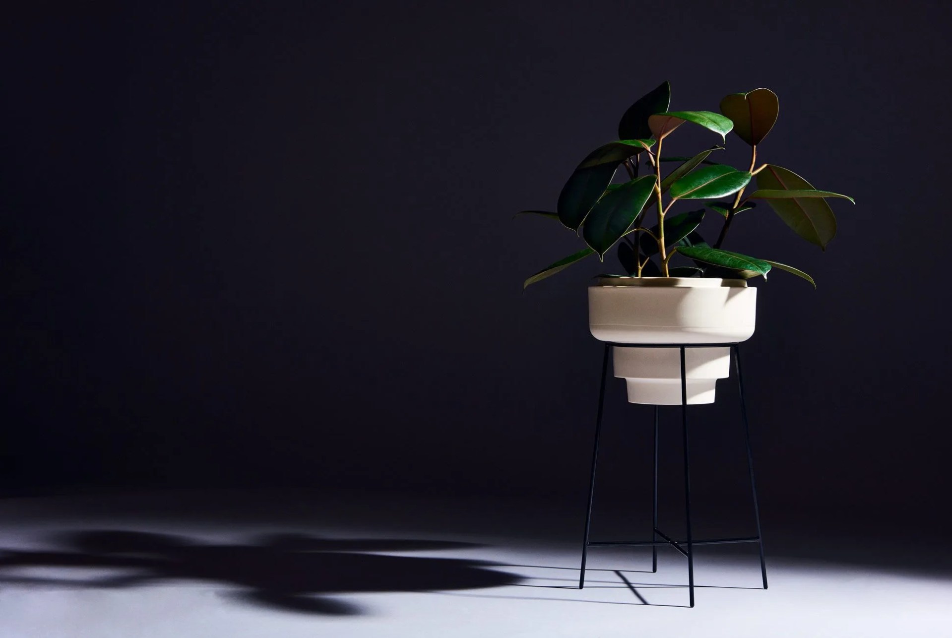 m2w winter plants gear patrol lead full