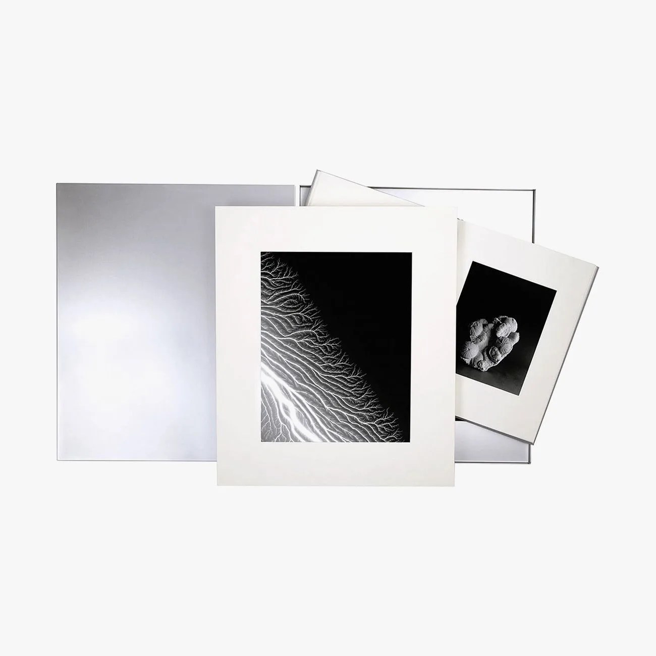 Staff-Picks-Henry-Phillips-Gear-Patrol-Hiroshi