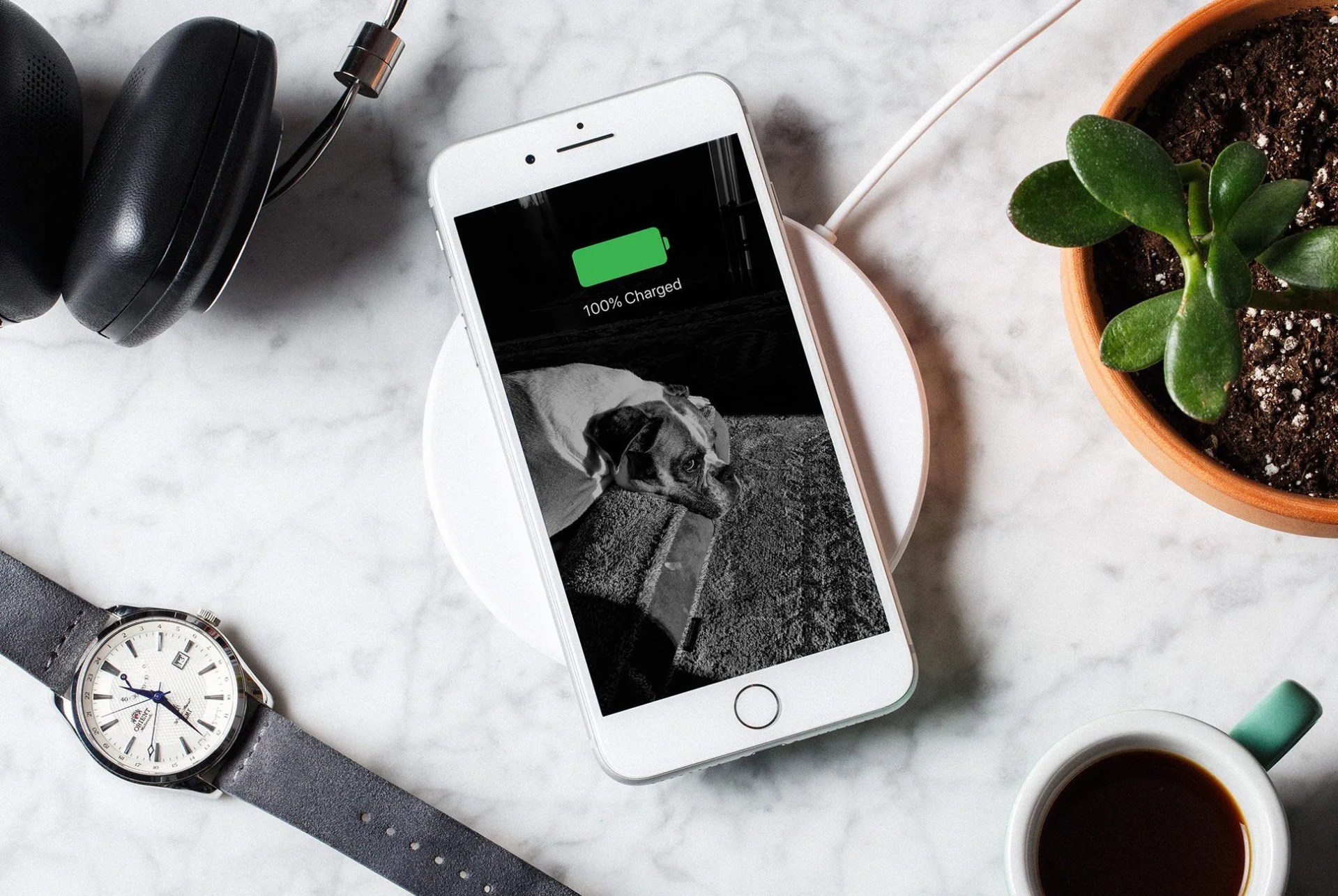 Apple-iPhone-8+-gear-patrol-1