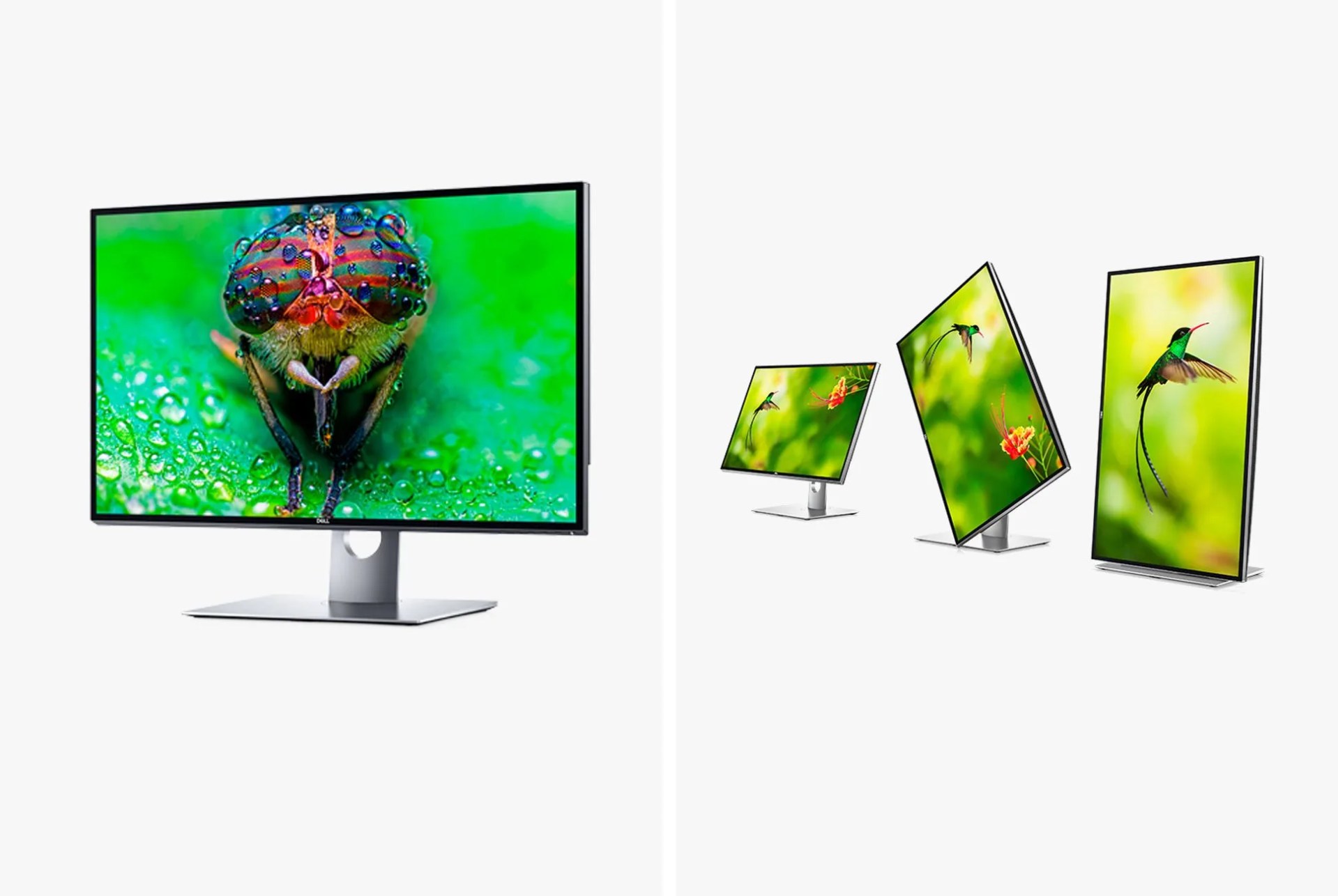 TIG-gear-patrol-dell-monitor