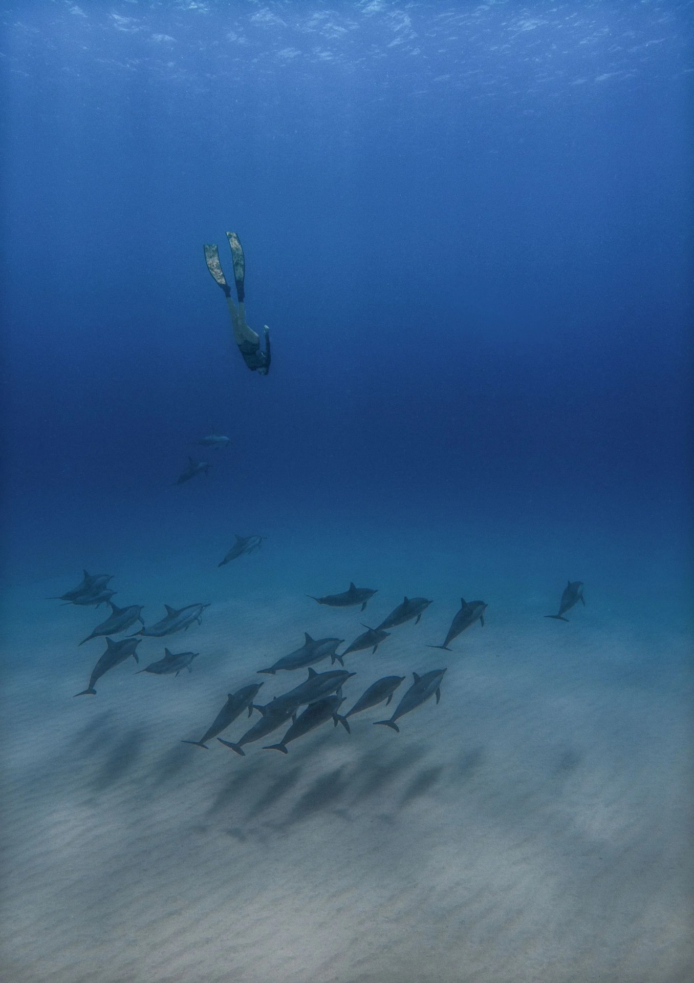 kimi-werner-gear-patrol-amb-1