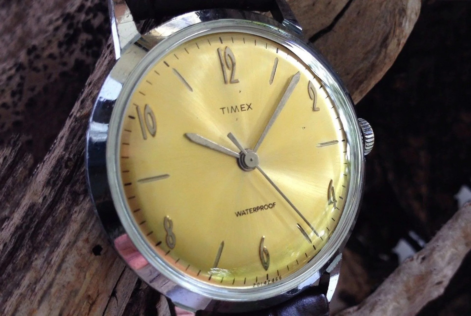 Dirt-Cheap-Mechanical-Timexes-gear-patrol-lead-full