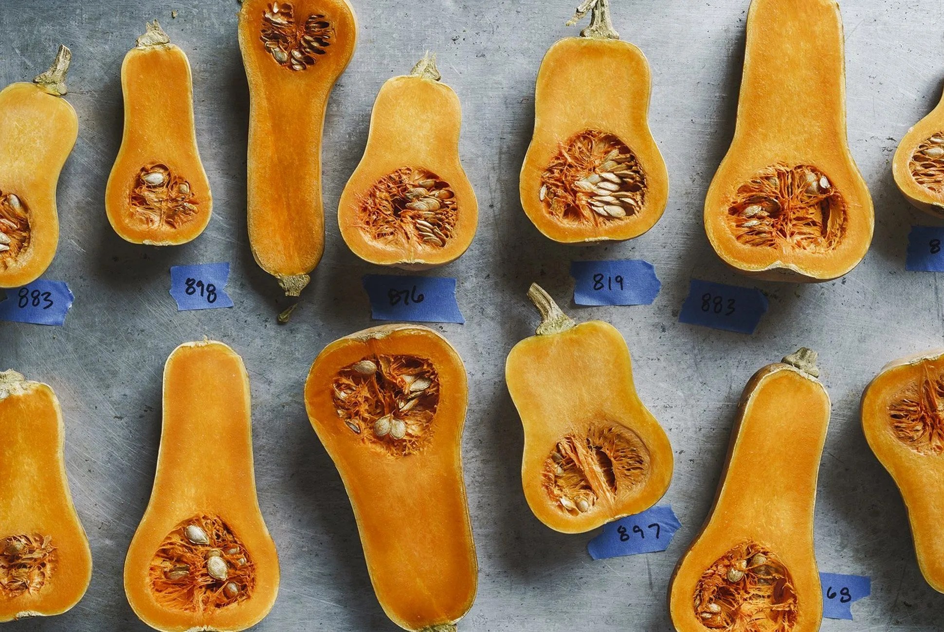 row7seeds-gear-patrol-full-lead