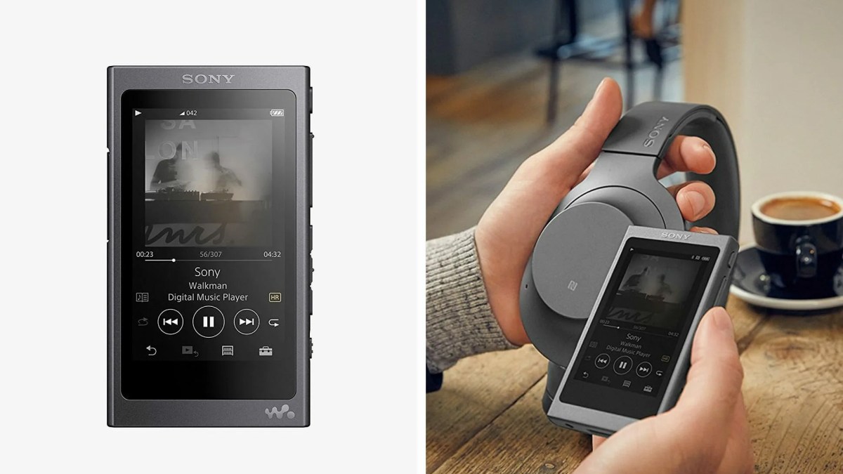 Sony-NW-A45-B-Walkman-gear-