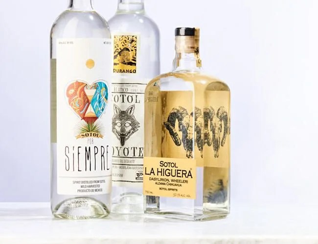 Sotol-Gear-Patrol-Lead-Featured