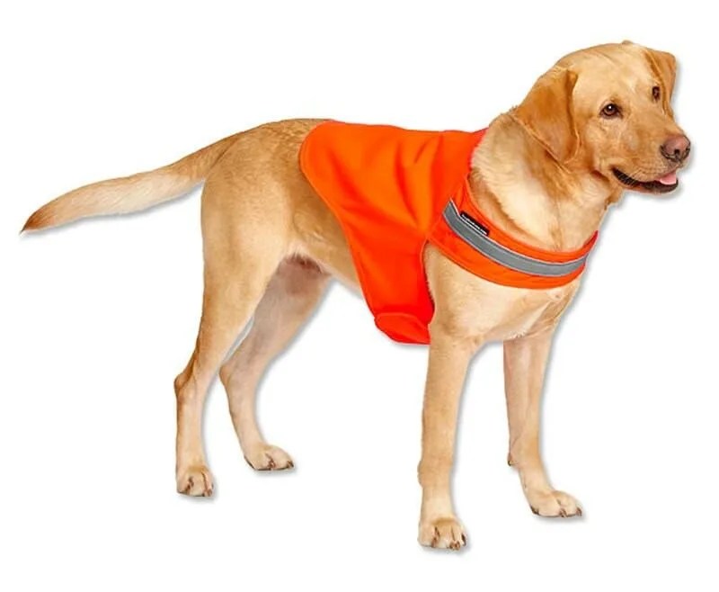 Orvis-Dog-Gear-gear-patrol-reflector