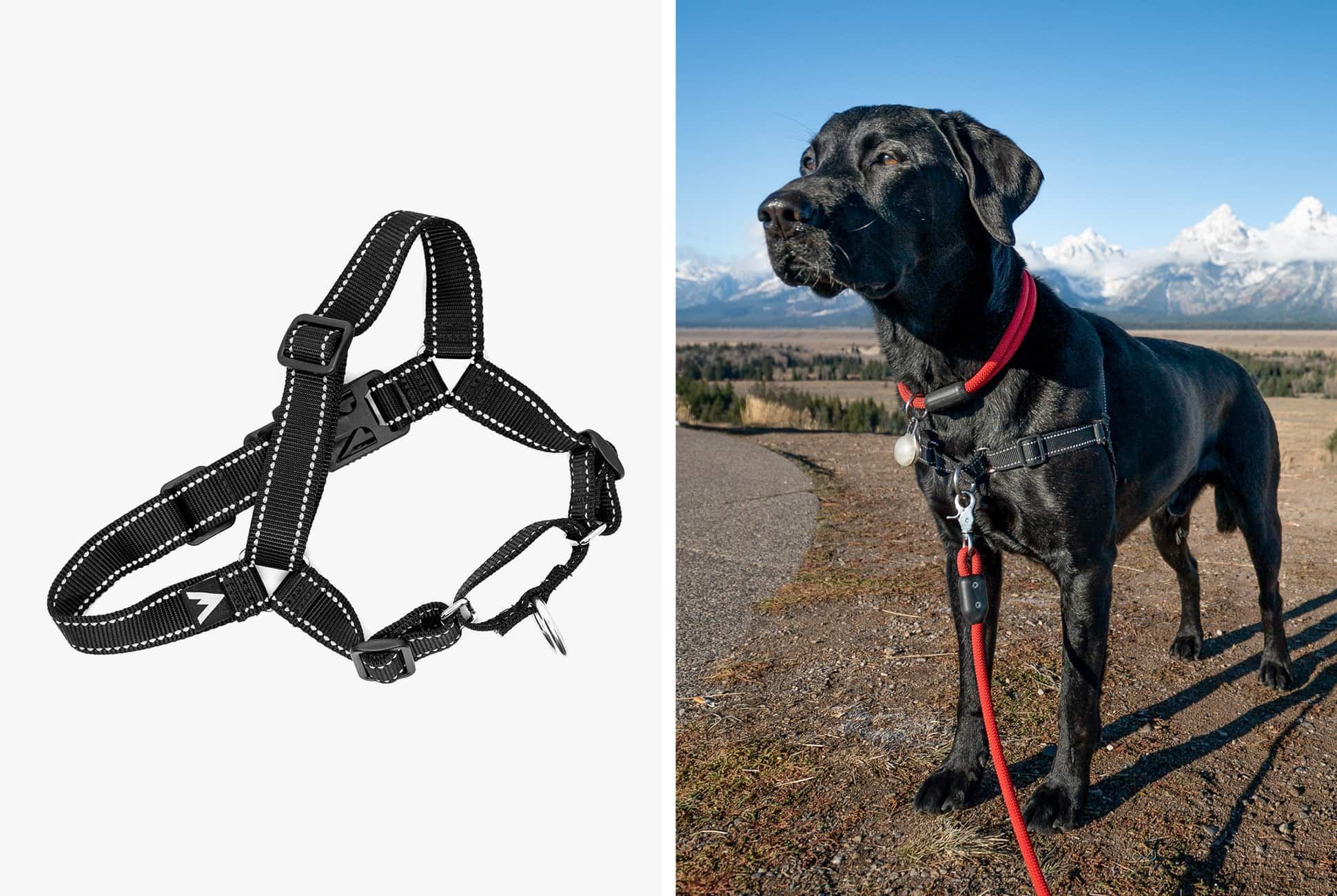 TIG-Nov-19-Atlas-gear-patrol-product