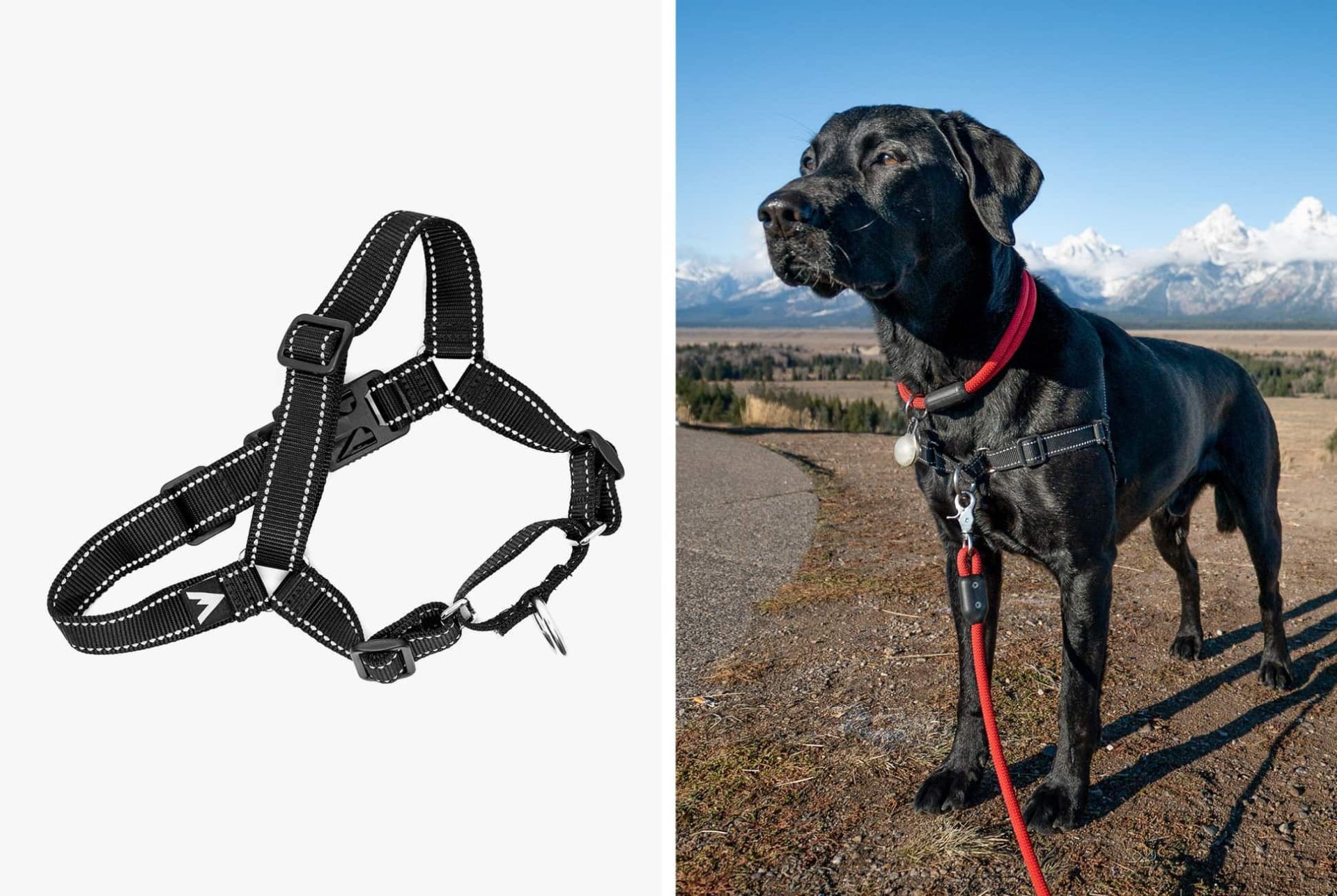 TIG-Nov-19-Atlas-gear-patrol-product