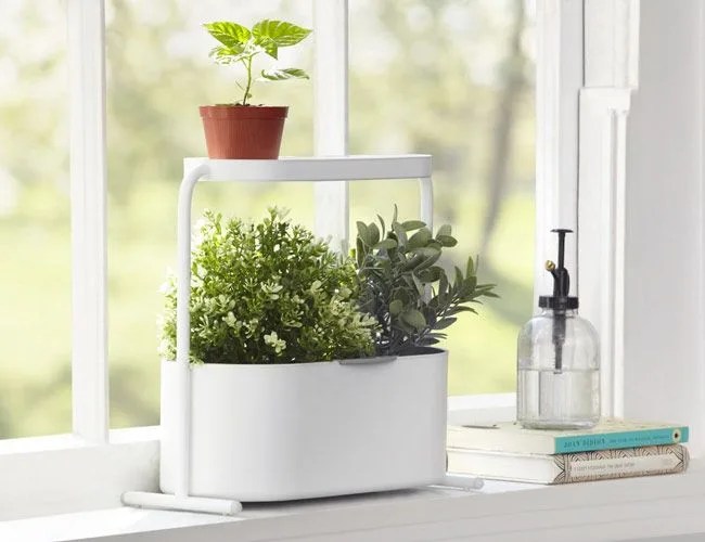 Giardino-Planter-gear-patrol-full-featured