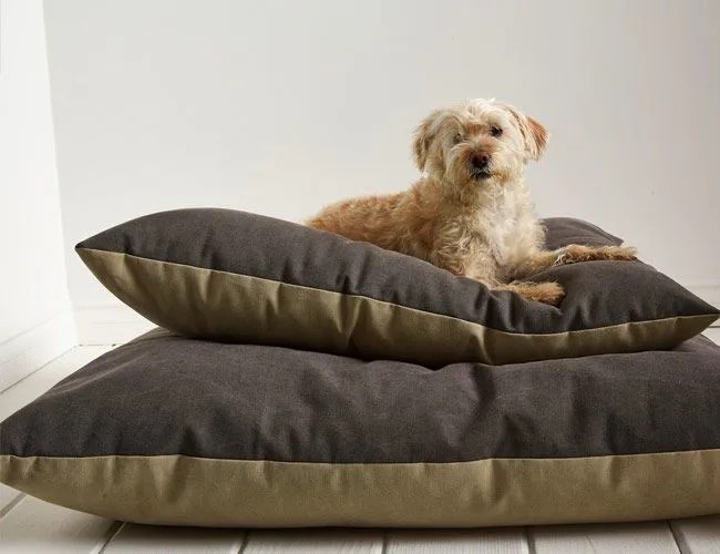 Parachute-Dog-Bed-gear-patrol-feature
