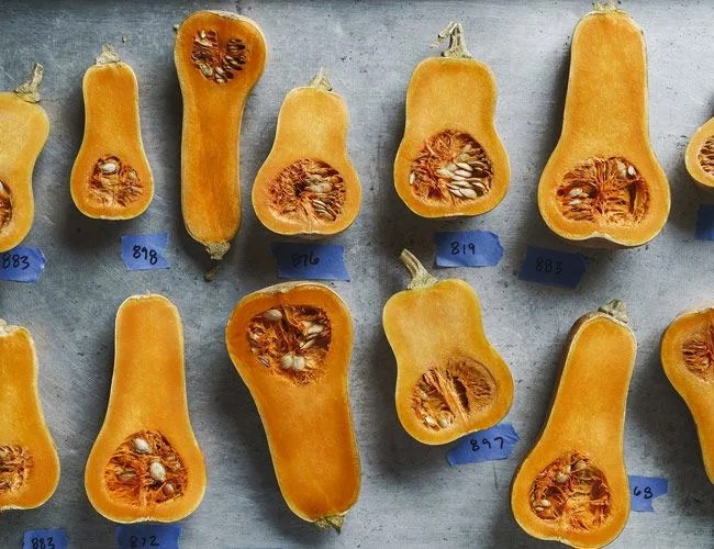 row7seeds-gear-patrol-full-featured