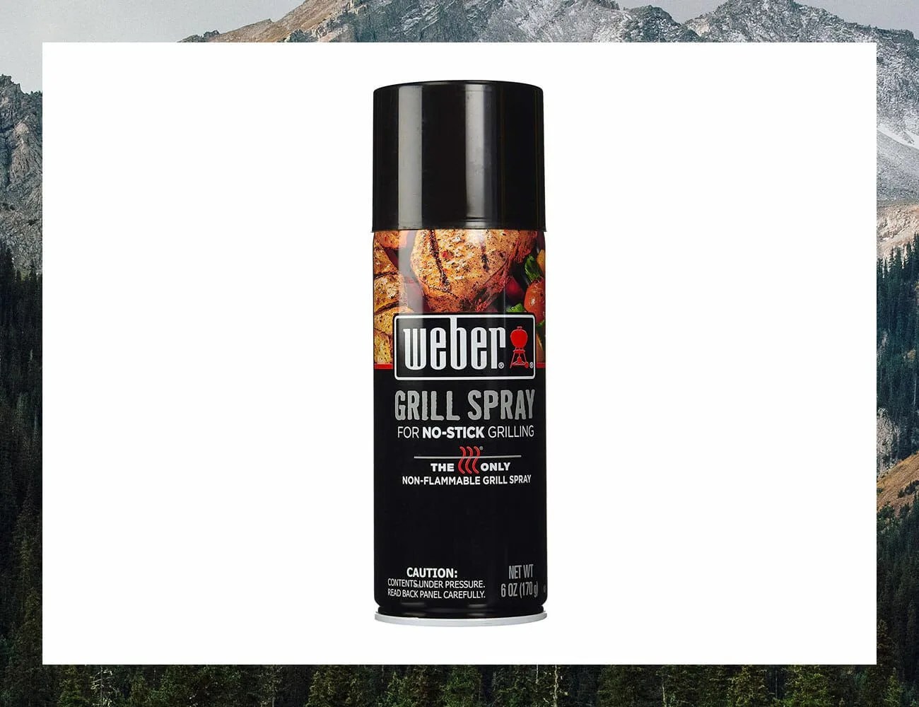 Weber-Grill-N-Spray-gear-patrol