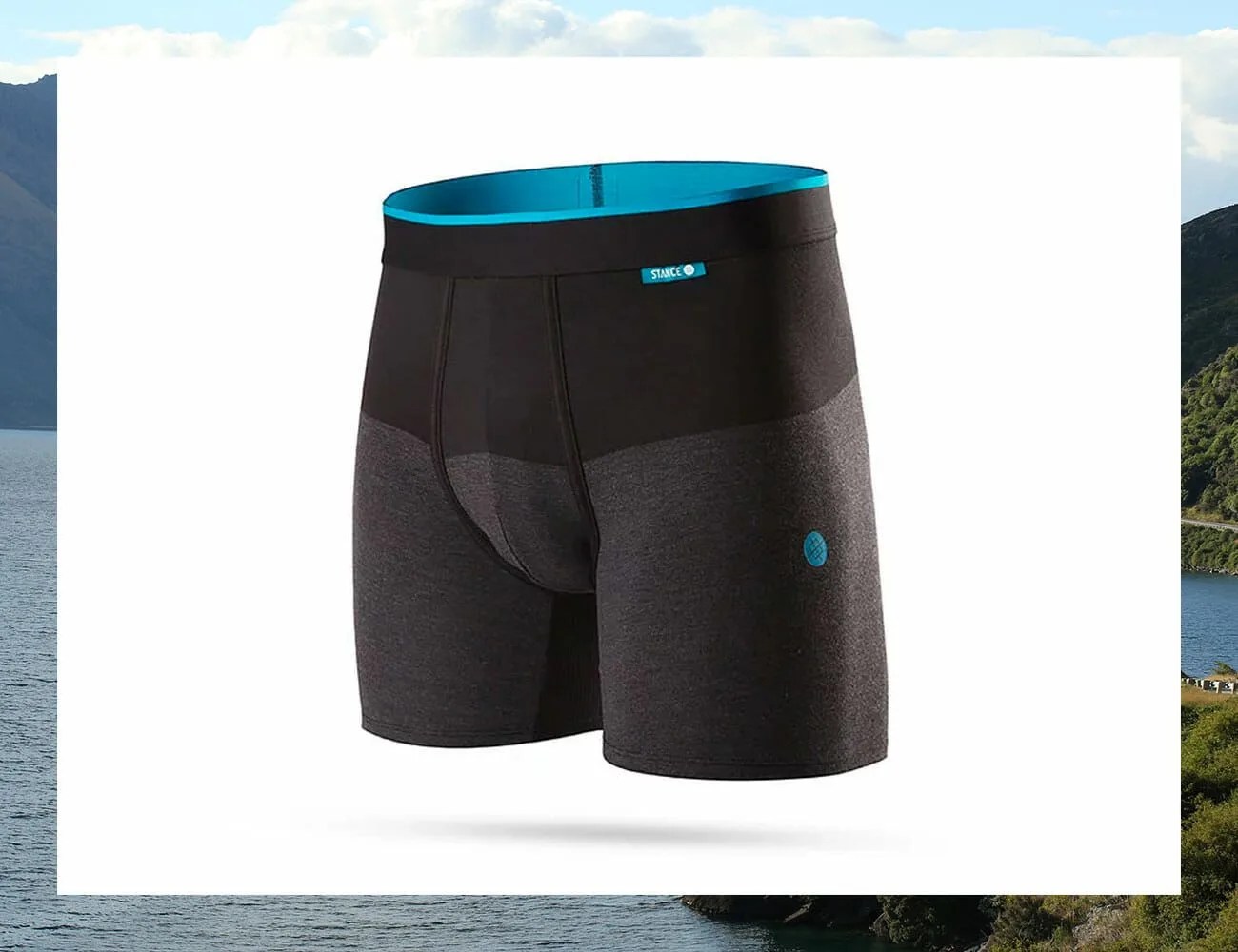 Stance-Cartridge-Wholester-Underwear-gear-patrol