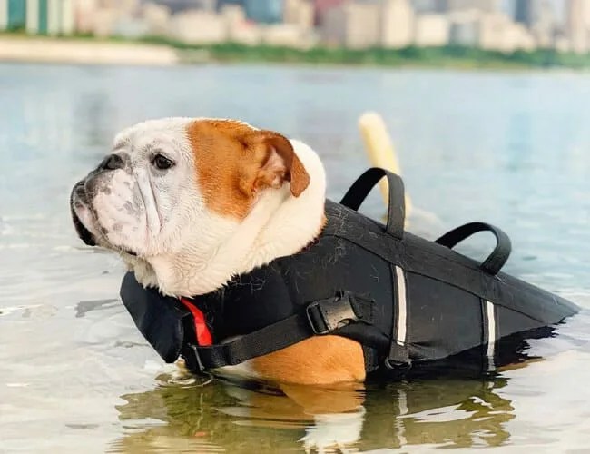 Maxbone-Life-Jacket-gear-patrol-lead-feature-v2