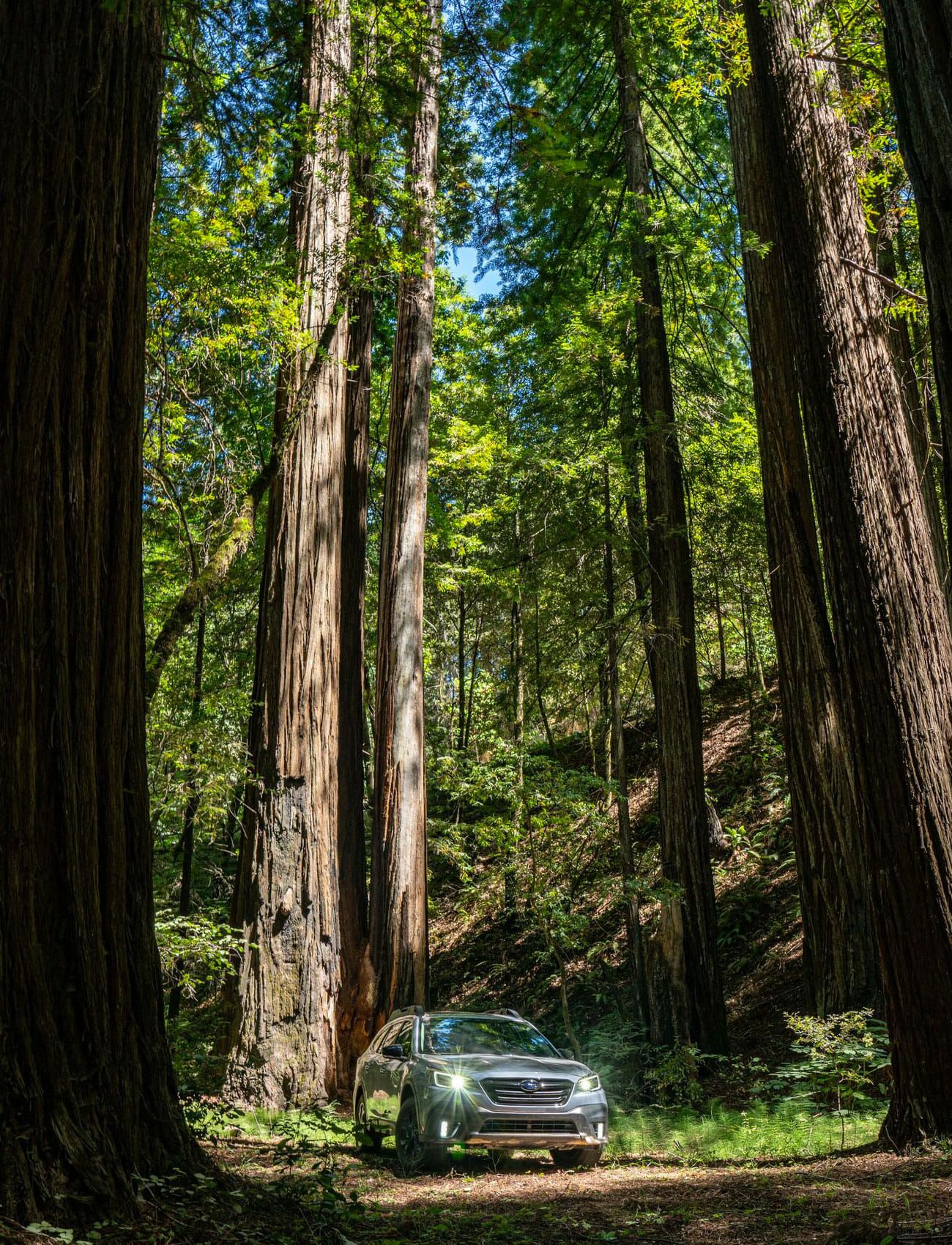 2020-Subaru-Outback-Review-gear-patrol-ambiance-1