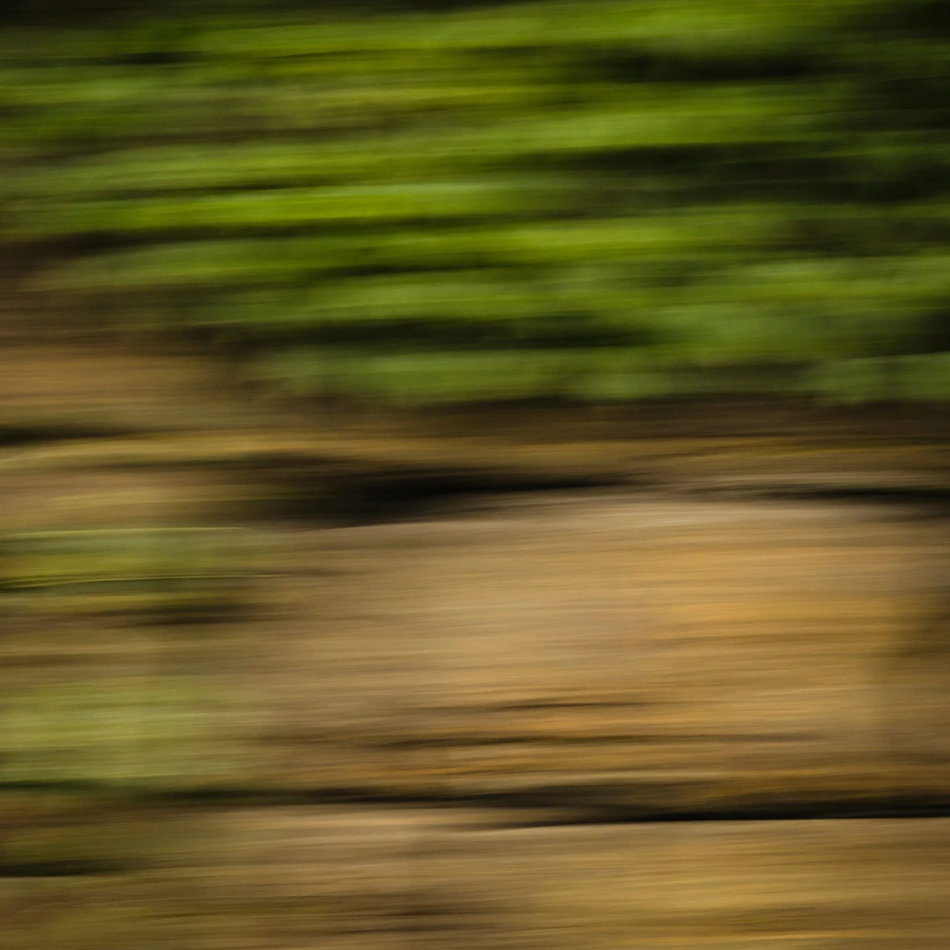 best-summer-running-kits-gear-patrol-09