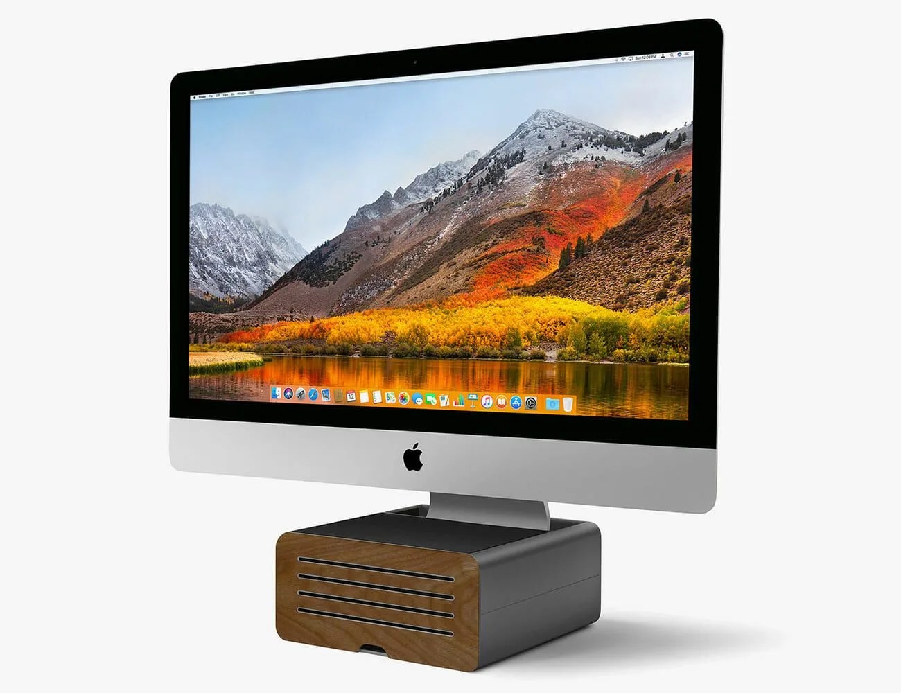 Twelve-South-Body-HiRise-Pro