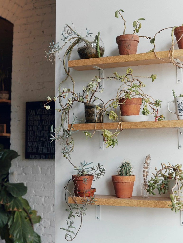 One-Chefs-Guide-Through-the-Rising-Culinary-World-of-Detroit-Gear-Patrol-Astro-Coffee