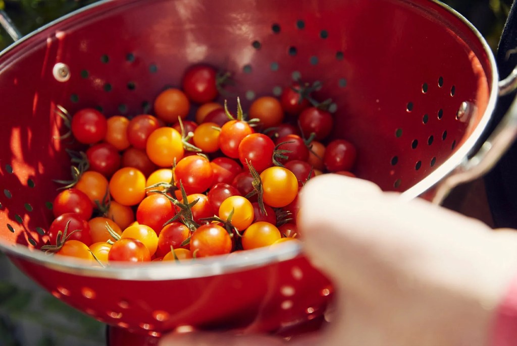 One-Chefs-Guide-Through-the-Rising-Culinary-World-of-Detroit-Gear-Patrol-Inline-3