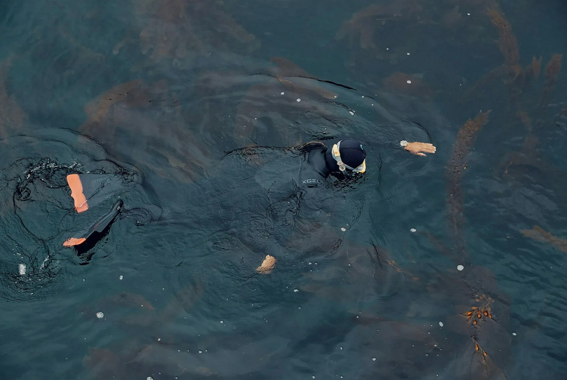 This-Is-How-One-Guide-Spends-His-Time-in-the-Channel-Islands-Gear-Patrol-Pablo-12