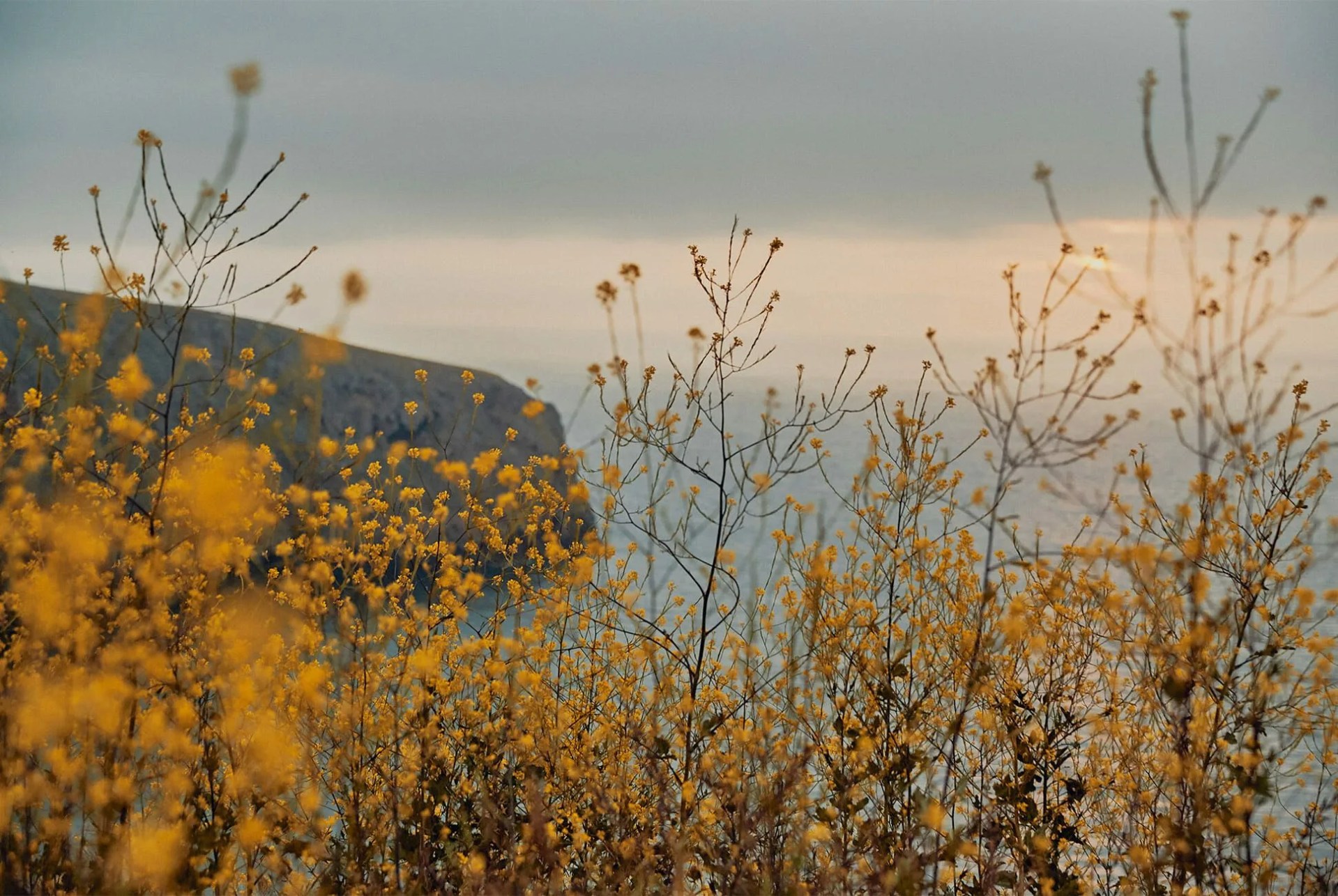 This-Is-How-One-Guide-Spends-His-Time-in-the-Channel-Islands-Gear-Patrol-Pablo-16