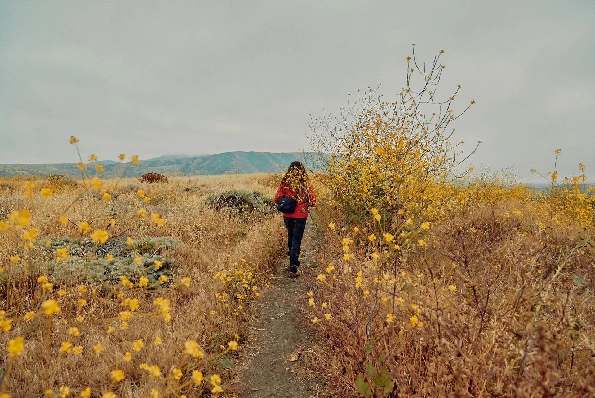 This-Is-How-One-Guide-Spends-His-Time-in-the-Channel-Islands-Gear-Patrol-Pablo-17