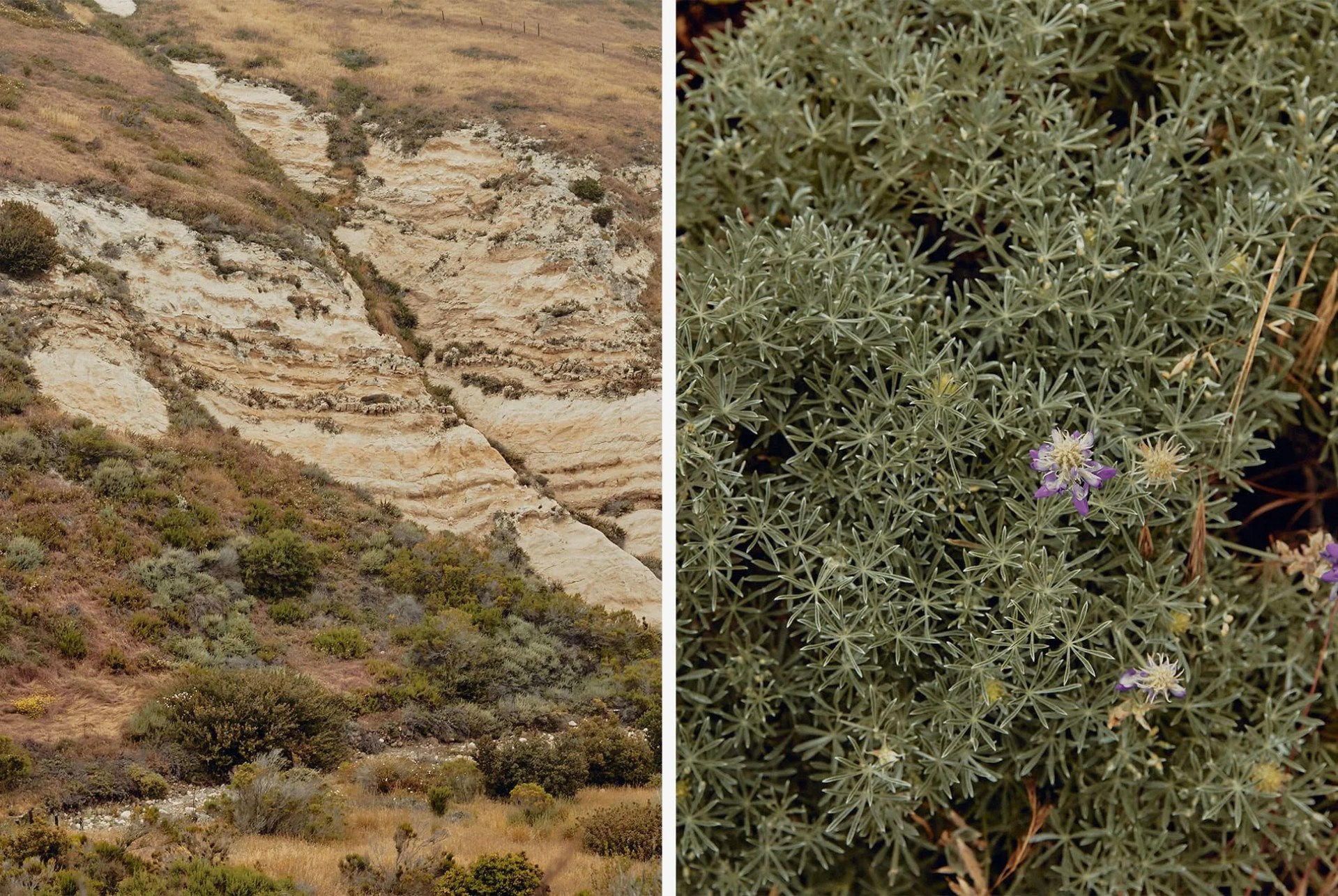 This-Is-How-One-Guide-Spends-His-Time-in-the-Channel-Islands-Gear-Patrol-Pablo-7