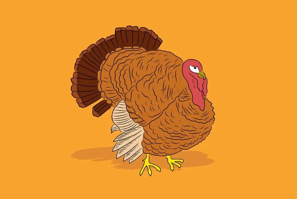 gear-patrol-turkey-lead-full2