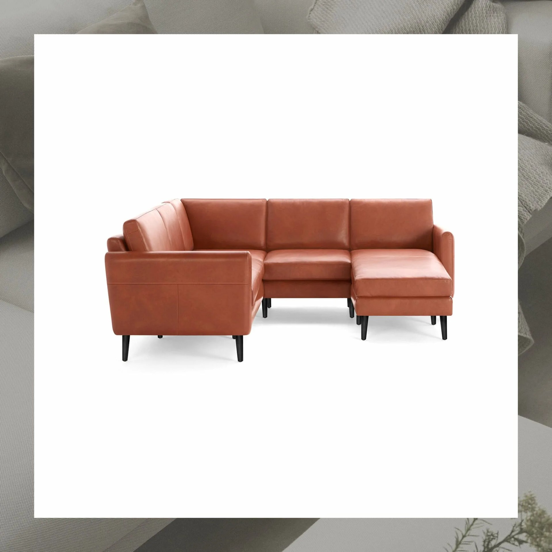 Burrow-Nomad-GP100-Home