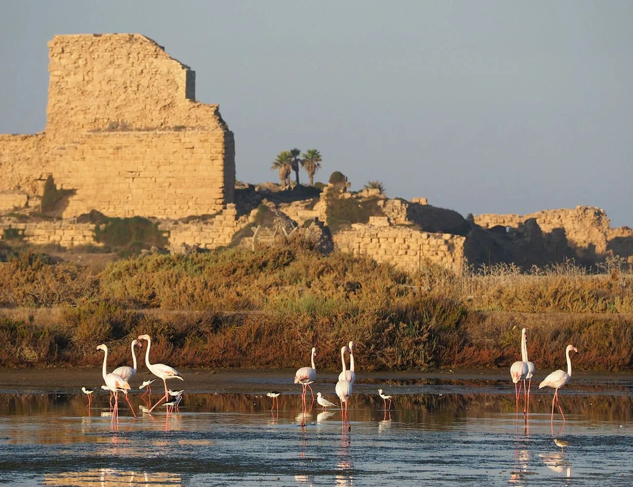 Elite-Naval-Commandos-Wore-This-Vintage-Military-Watch-gear-patrol-ambience-1