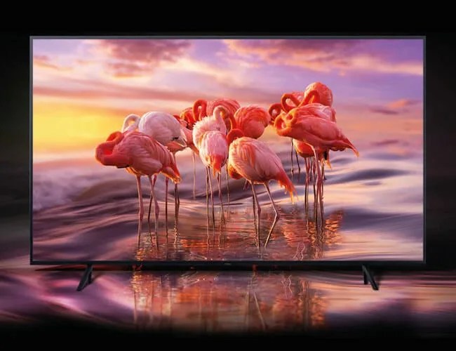 TV-Roundup-gear-patrol-lead-featured